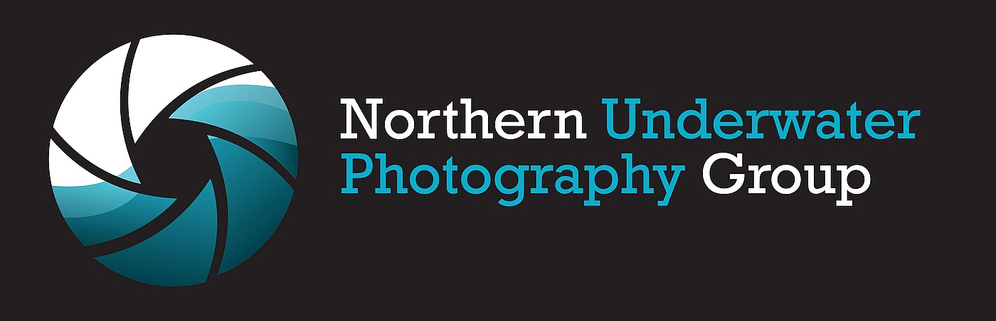 NUPG Logo
